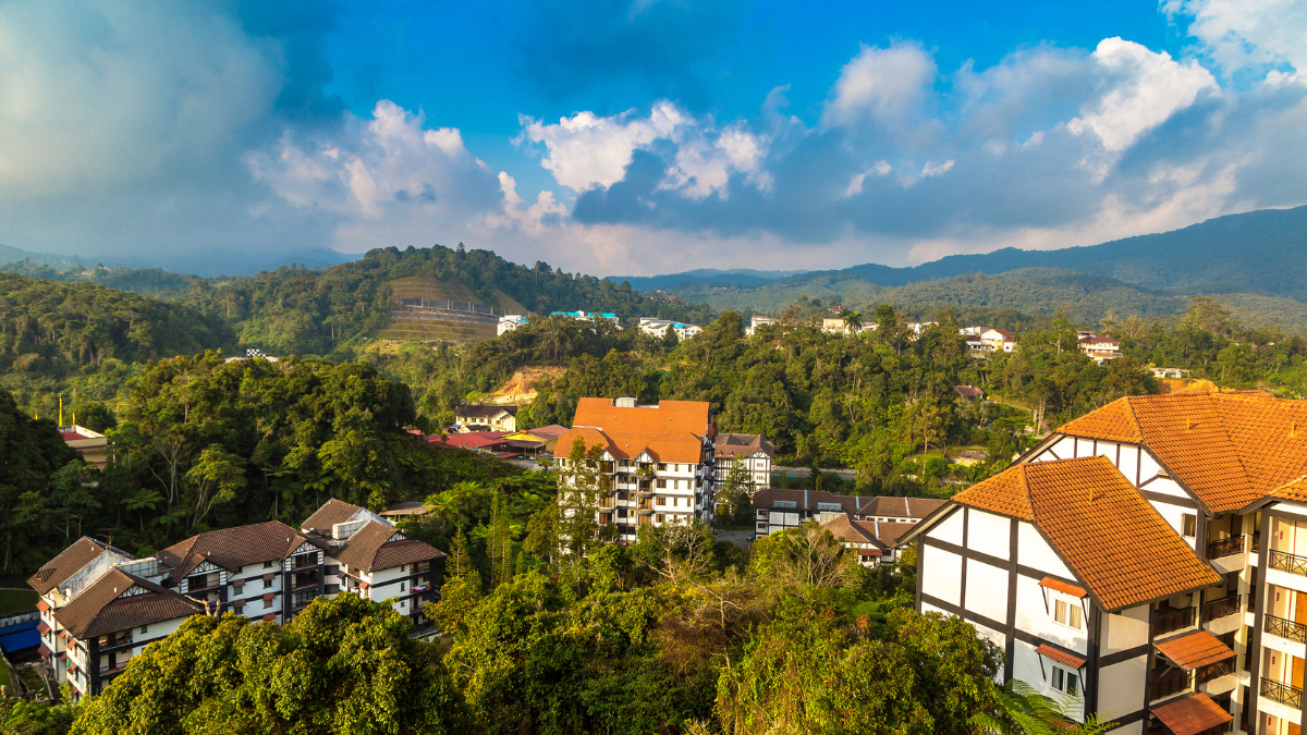 cameron highlands